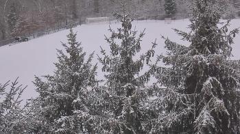 Weather camera view of Stuart Country Day School.