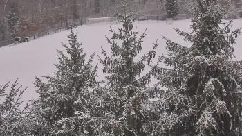 Weather camera view of Stuart Country Day School.