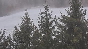 Weather camera view of Stuart Country Day School.