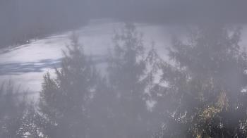 Weather camera view of Stuart Country Day School.