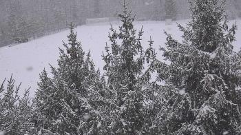 Weather camera view of Stuart Country Day School.