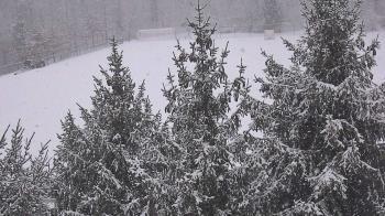 Weather camera view of Stuart Country Day School.