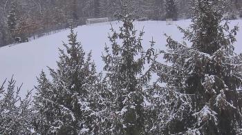 Weather camera view of Stuart Country Day School.