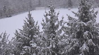 Weather camera view of Stuart Country Day School.