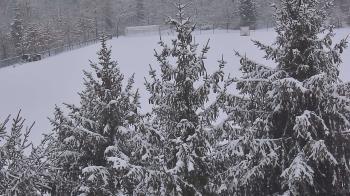 Weather camera view of Stuart Country Day School.