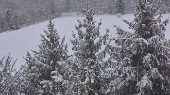 Weather camera view of Stuart Country Day School.