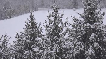 Weather camera view of Stuart Country Day School.