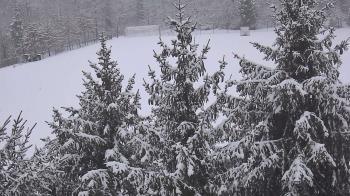 Weather camera view of Stuart Country Day School.