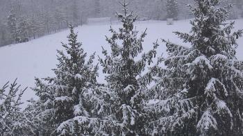 Weather camera view of Stuart Country Day School.