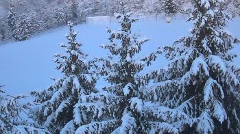 Weather camera view of Stuart Country Day School.