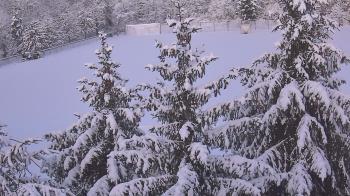 Weather camera view of Stuart Country Day School.