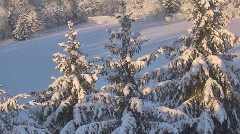 Weather camera view of Stuart Country Day School.