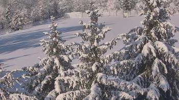 Weather camera view of Stuart Country Day School.