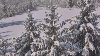 Weather camera view of Stuart Country Day School.