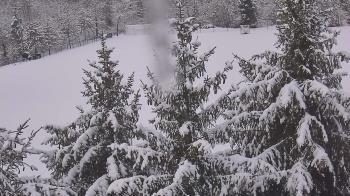 Weather camera view of Stuart Country Day School.