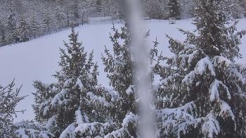 Weather camera view of Stuart Country Day School.