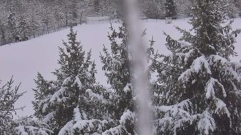 Weather camera view of Stuart Country Day School.