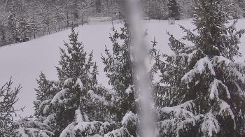 Weather camera view of Stuart Country Day School.