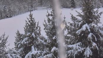 Weather camera view of Stuart Country Day School.