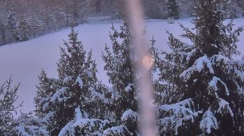 Weather camera view of Stuart Country Day School.