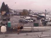 Weather camera view of Rodgers Marine LLC.