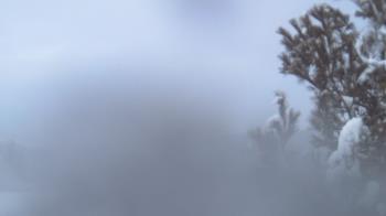 Weather camera view of French Creek ES.