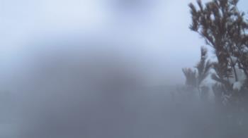 Weather camera view of French Creek ES.