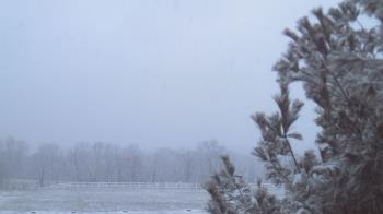 Weather camera view of French Creek ES.