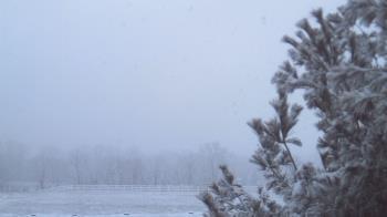 Weather camera view of French Creek ES.