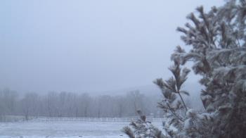 Weather camera view of French Creek ES.