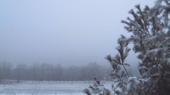 Weather camera view of French Creek ES.