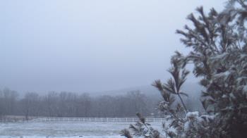 Weather camera view of French Creek ES.