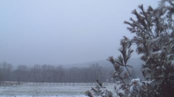 Weather camera view of French Creek ES.