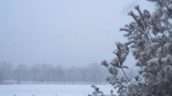 Weather camera view of French Creek ES.