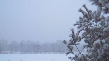 Weather camera view of French Creek ES.