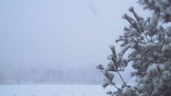 Weather camera view of French Creek ES.