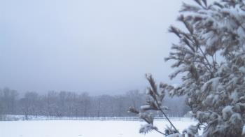 Weather camera view of French Creek ES.