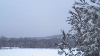 Weather camera view of French Creek ES.
