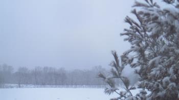 Weather camera view of French Creek ES.