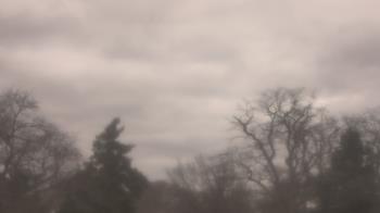 Weather camera view of Saint Peter School.