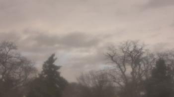 Weather camera view of Saint Peter School.