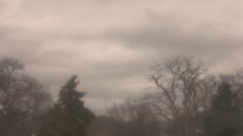 Weather camera view of Saint Peter School.