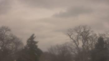 Weather camera view of Saint Peter School.