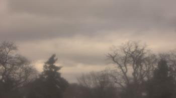 Weather camera view of Saint Peter School.