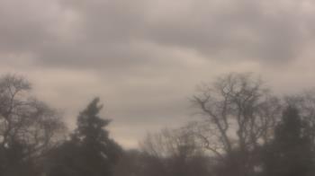 Weather camera view of Saint Peter School.