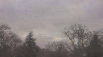 Weather camera view of Saint Peter School.