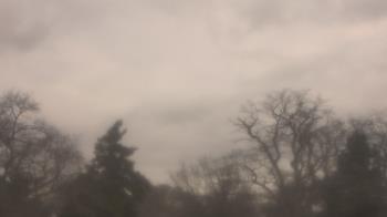 Weather camera view of Saint Peter School.