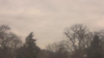 Weather camera view of Saint Peter School.