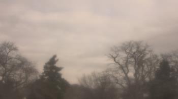 Weather camera view of Saint Peter School.