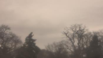 Weather camera view of Saint Peter School.